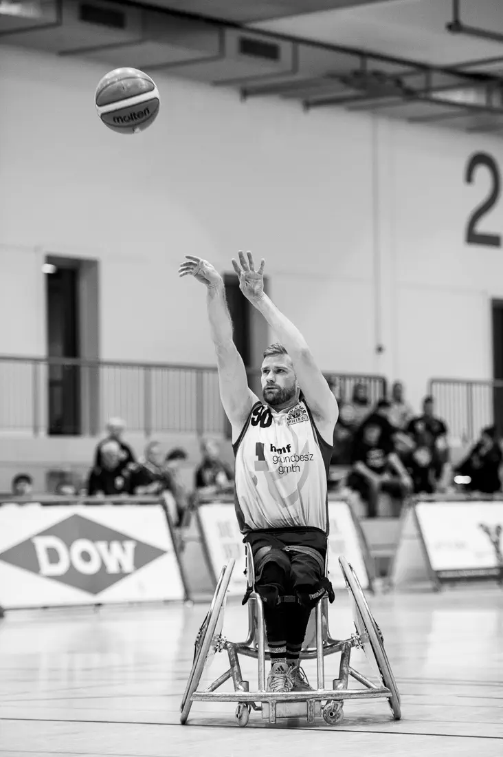 Nashorn überrollt Leguan